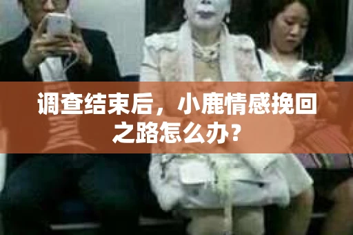 调查结束后，小鹿情感挽回之路怎么办？
