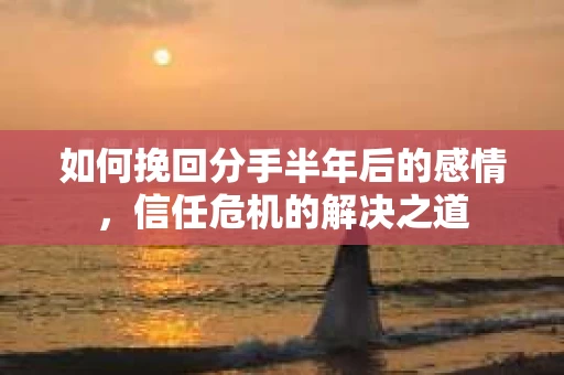 如何挽回分手半年后的感情，信任危机的解决之道