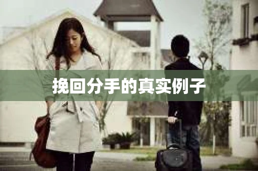 挽回分手的真实例子
