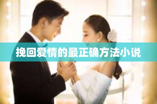 挽回爱情的最正确方法小说