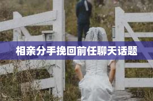 相亲分手挽回前任聊天话题