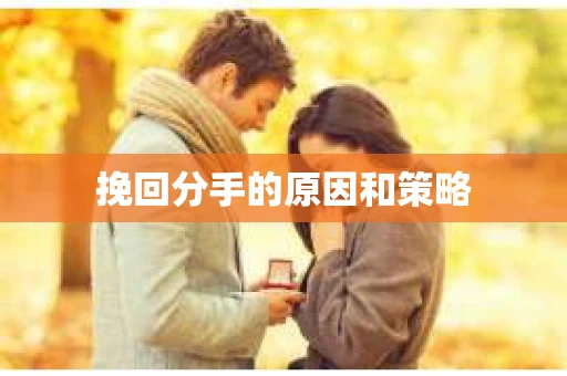 挽回分手的原因和策略