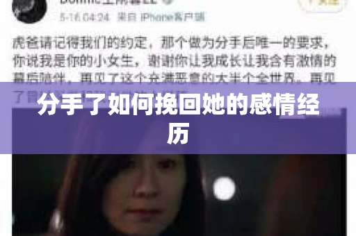 分手了如何挽回她的感情经历