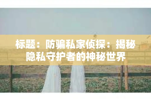 标题：防骗私家侦探：揭秘隐私守护者的神秘世界
