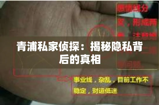 青浦私家侦探：揭秘隐私背后的真相