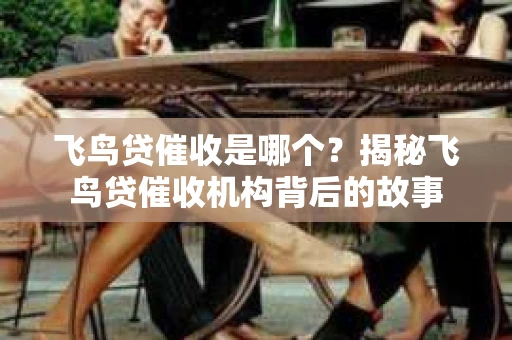 飞鸟贷催收是哪个？揭秘飞鸟贷催收机构背后的故事