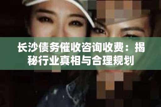 长沙债务催收咨询收费：揭秘行业真相与合理规划