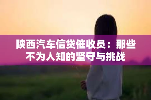 陕西汽车信贷催收员：那些不为人知的坚守与挑战