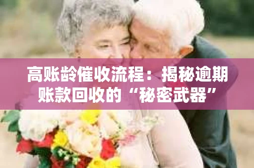 高账龄催收流程：揭秘逾期账款回收的“秘密武器”