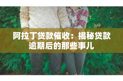 阿拉丁贷款催收：揭秘贷款逾期后的那些事儿