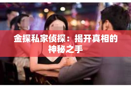 金探私家侦探：揭开真相的神秘之手