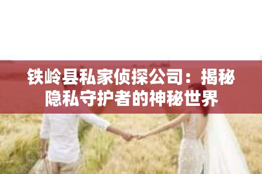 铁岭县私家侦探公司：揭秘隐私守护者的神秘世界