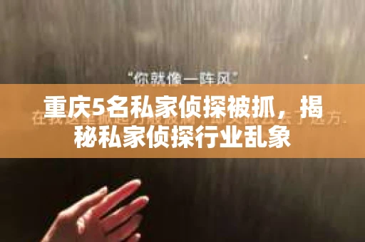 重庆5名私家侦探被抓，揭秘私家侦探行业乱象