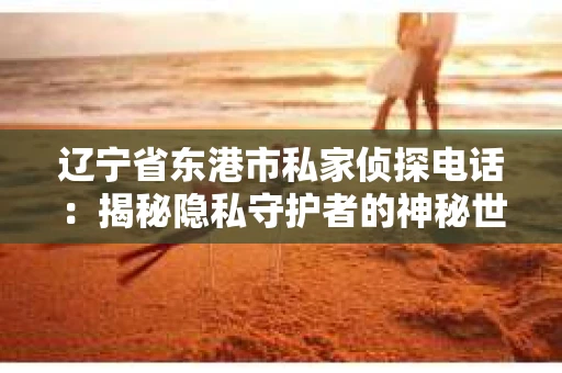 辽宁省东港市私家侦探电话：揭秘隐私守护者的神秘世界