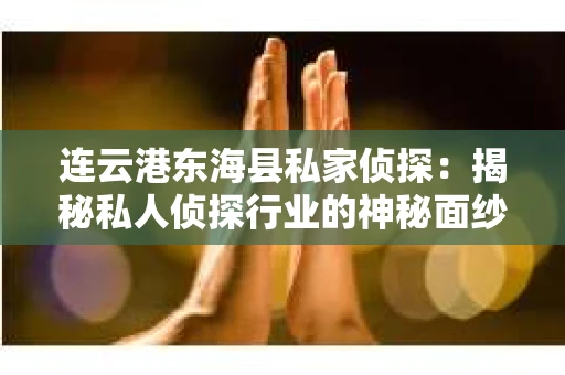 连云港东海县私家侦探：揭秘私人侦探行业的神秘面纱