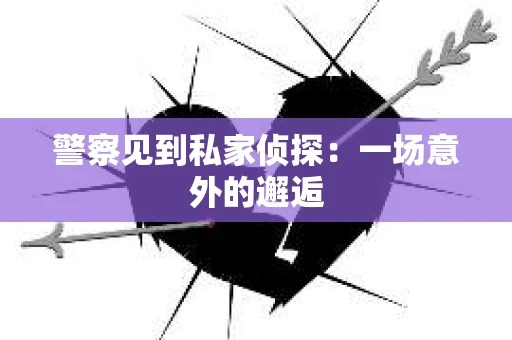 警察见到私家侦探：一场意外的邂逅