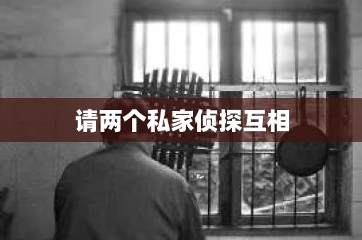 请两个私家侦探互相