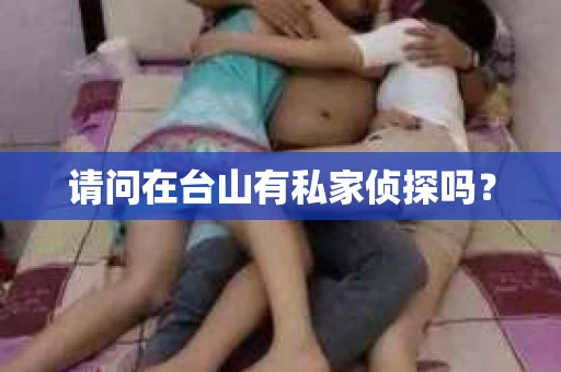 请问在台山有私家侦探吗？