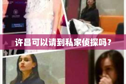 许昌可以请到私家侦探吗？