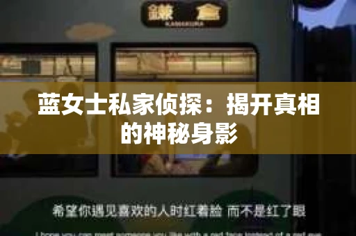 蓝女士私家侦探：揭开真相的神秘身影