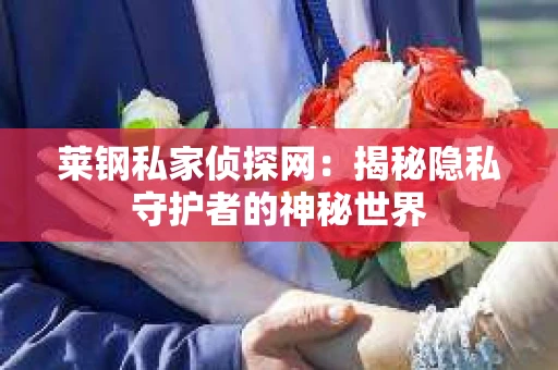 莱钢私家侦探网：揭秘隐私守护者的神秘世界