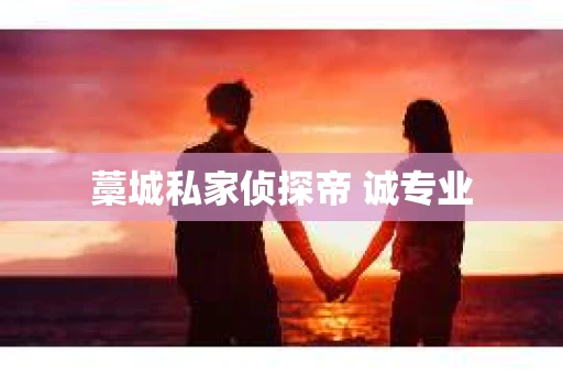 藁城私家侦探帝 诚专业