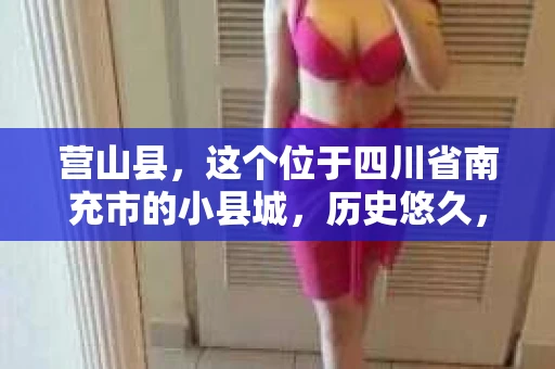 营山县，这个位于四川省南充市的小县城，历史悠久，风景秀丽。但在这个宁静的小县城里，你是否会好奇，有没有私家侦探的存在呢？今天，我就来和大家聊聊这个话题。