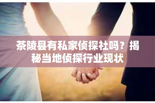 茶陵县有私家侦探社吗？揭秘当地侦探行业现状