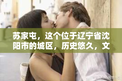 苏家屯，这个位于辽宁省沈阳市的城区，历史悠久，文化底蕴深厚。近年来，随着社会的发展，人们对于私家侦探的需求也逐渐增加。那么，苏家屯有私家侦探吗？今天，我们就来聊聊这个话题。