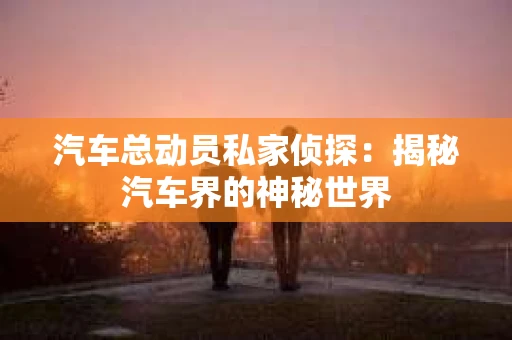 汽车总动员私家侦探：揭秘汽车界的神秘世界