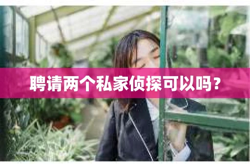 聘请两个私家侦探可以吗？