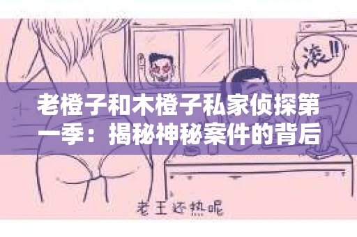 老橙子和木橙子私家侦探第一季：揭秘神秘案件的背后