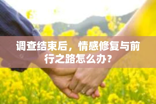 调查结束后，情感修复与前行之路怎么办？