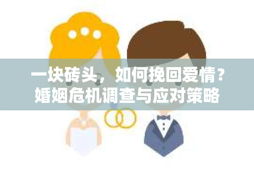 一块砖头，如何挽回爱情？婚姻危机调查与应对策略