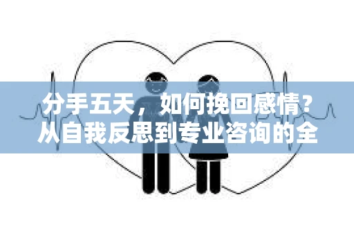分手五天，如何挽回感情？从自我反思到专业咨询的全面解决方案