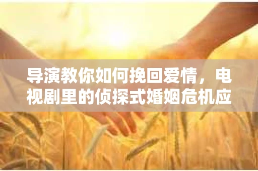 导演教你如何挽回爱情，电视剧里的侦探式婚姻危机应对法