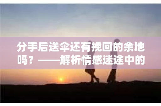 分手后送伞还有挽回的余地吗？——解析情感迷途中的决策
