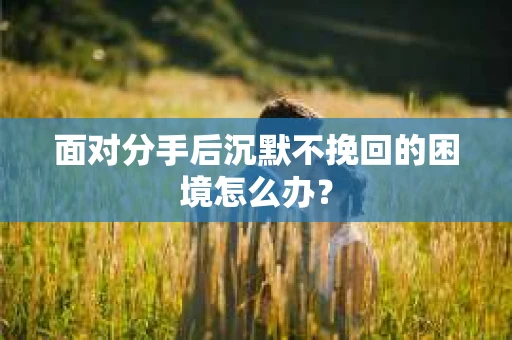 面对分手后沉默不挽回的困境怎么办? 面对分手后沉默不挽回的困境怎么办?
